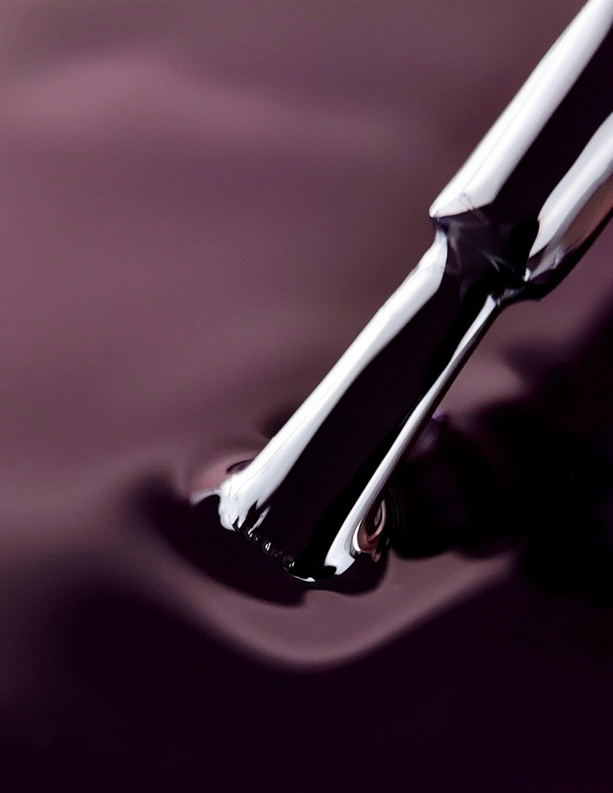 BIBLIOTEKA Esmalte № 21 Plum, 10 ml