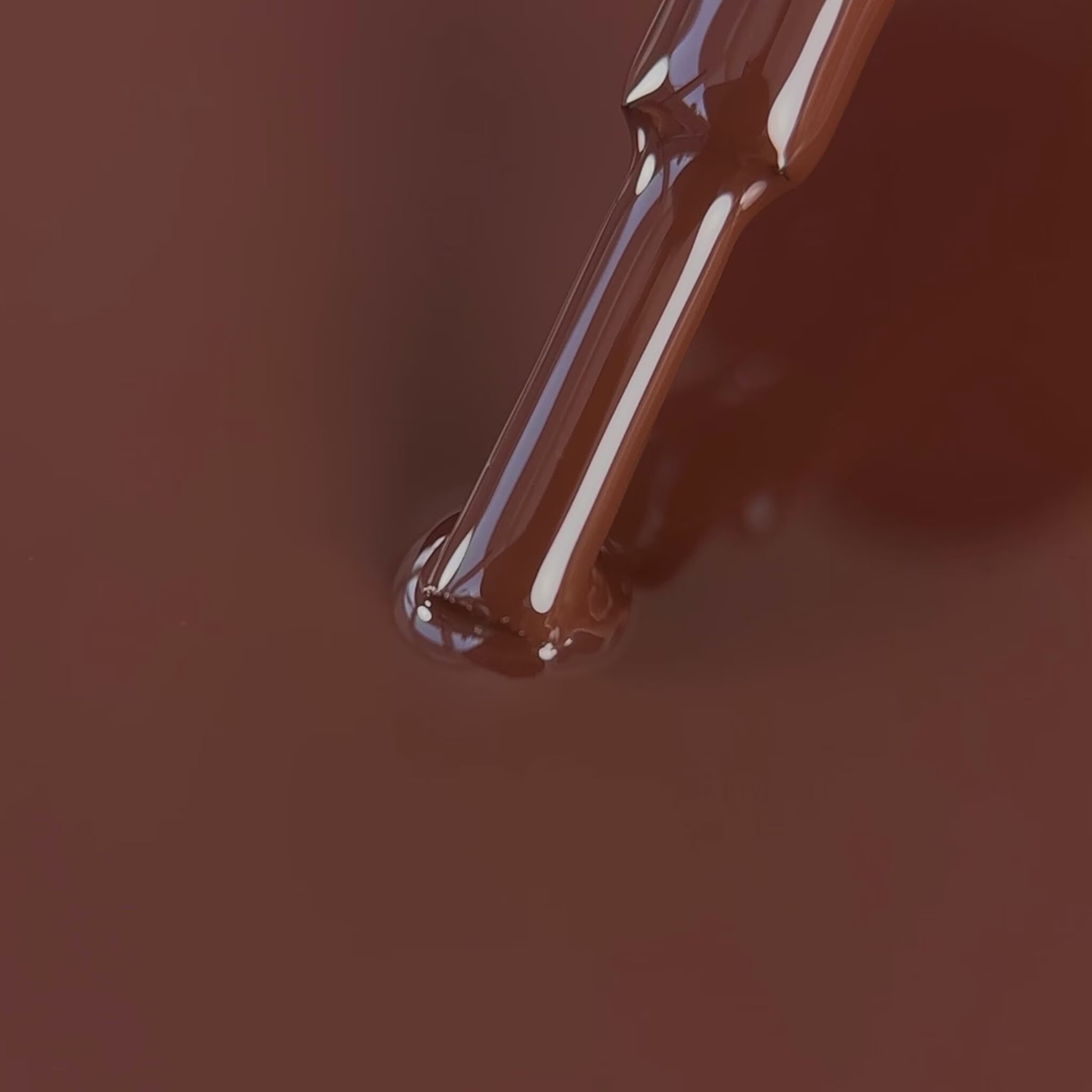 BIBLIOTEKA Esmalte Nº 38 Chestnut — Marrón intenso, 10 ml